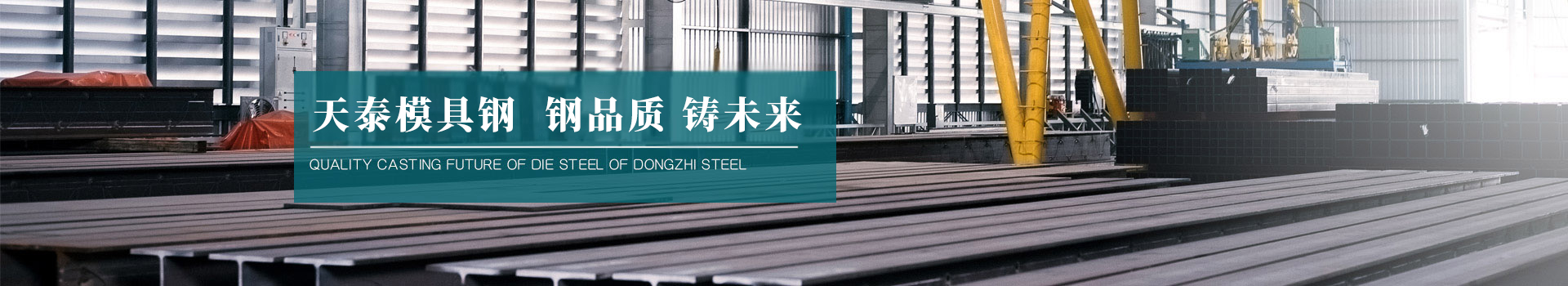 东之钢宅男视频APP在线钢 钢品质  铸未来